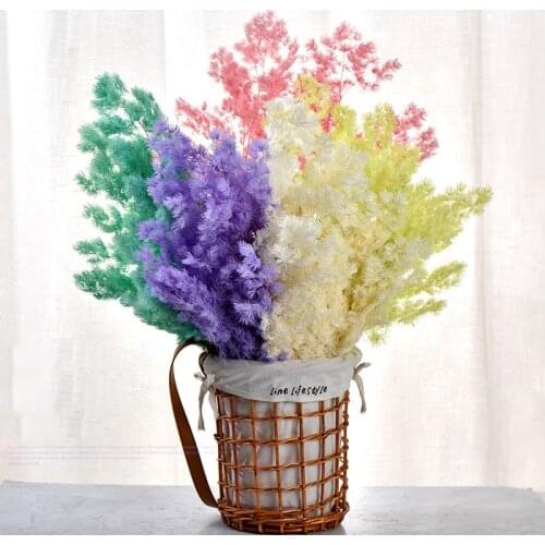 80g/Preserved Fresh Plant,Real Natural Dried Flowes Penglai Pine,Wedding Mariage Decoration Eternelle Flower Home Room Decor