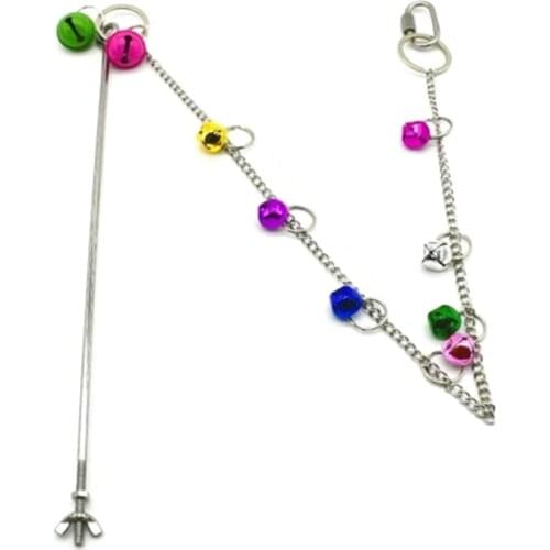 Stainless Steel Bird Hanging Food Holder Parrot Fruit Vegetable Feeder Chain Meat Skewer Foraging Toys for Parrot Hen