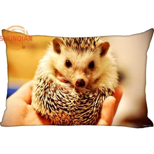 New Custom Hedgehog Pillowcase Zippered Rectangle Pillow Cover Cases Size 45X35cm,40x60cm,45X75cm,50X75cm(Two sides)