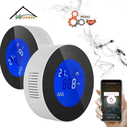 HESSWAY 8% LEL 80dB alarm gas leak detector sensor for Gas valve safety supplement