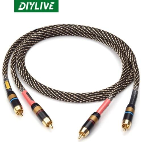 DIYLIVE A pair of HiFi 2RCA high-end cable for high quality DVD amplifiers with Multinedia Interconnect RCA audio cables