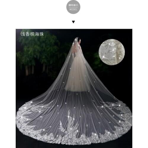 Wholesale Champagne Bead Lace Veils Bridal Veil 3M long For Wedding Dress Veil