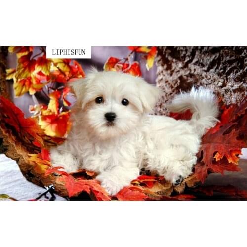 Diy Diamond Painting Animal Diamond Cross Stitch Resin Square Diamond Sets Unfinished Full Diamond Embroidery Dog