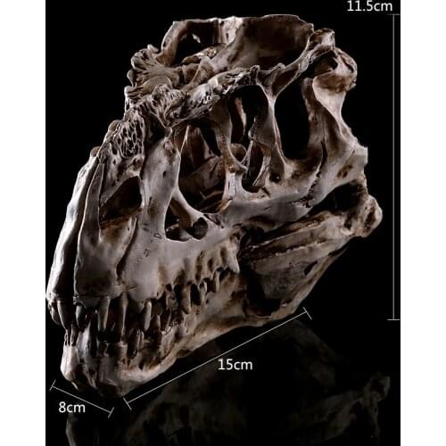 Hot Sale Retro N 1/12 Tyrannosaurus SCALE RESIN DINOSAUR SKULL MODEL COLLECTIBLE