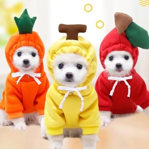 Pet Clothe Cute Winter Warm Dog Clothes Soft Fleece Coat for Small Dogs Plush Coat Hoodies Dog cat Tshirt Puppy Outfit