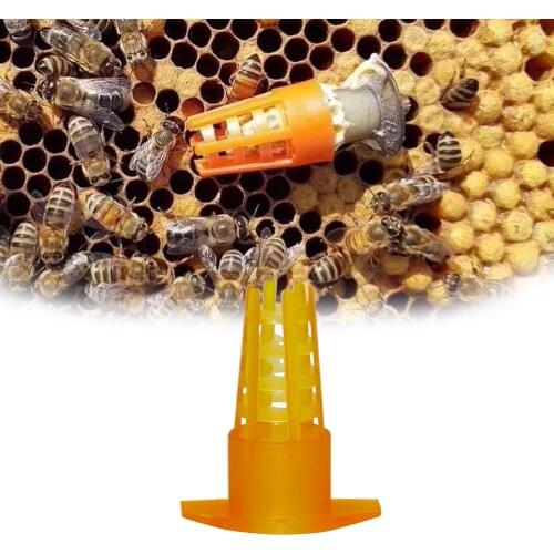 20PCS|Plastic Bee Queen Cage Protective Push-In Cover Bees Cell Protector Cap Goods Tools For Beekeeper Supplies