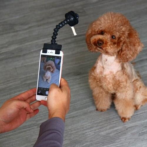 Pet Selfie Stick for Dogs Cat Photography Tools Pet Interaction Toys Concentrate Training Supplies Dog Accessories