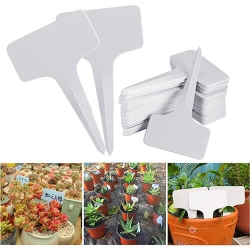 100PCS/Set T-type Plastic Waterproof Plant Labels Garden Ornaments Gardening Label Classification Sorting Sign Tag Plant Markers
