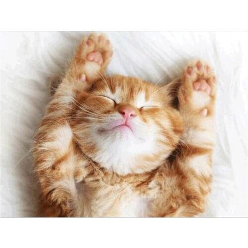 5D Embroidery Cute Animal Sleeping Cat Handmade Diamond Painting Needlework Mosaic Cross Stitch Bedroom Decoration FH678