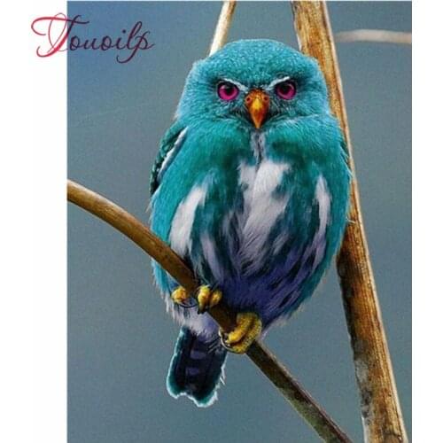 DIY 5D Full Diamonds Embroidery Animal bird round Diamond Painting Cross Stitch Kits Diamond Mosaic rose pattern Home Decoration