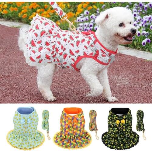 Didog Goods For Tourism