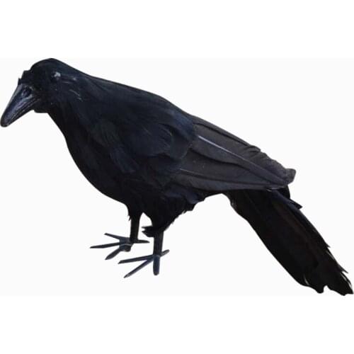 Realistic New Black Raven Feathered Crow Halloween Fancy Dress Prop Accessory