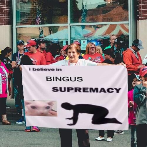 Bingus Text 261 Flag Banner Home Outdoor Gift Party Transgender Jesus Lgbtq Flag