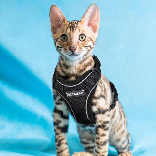 Breathable Cat Harness Escape Proof Pet Clothes Kitten Puppy Dogs Vest Adjustable Easy Control Reflective Cat Harness