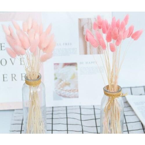 20Pcs Rabbit Tail Grass Natural Dried Flowers For Home Decoration Flower Arrangement Long Bunches Bouquet Props wedding