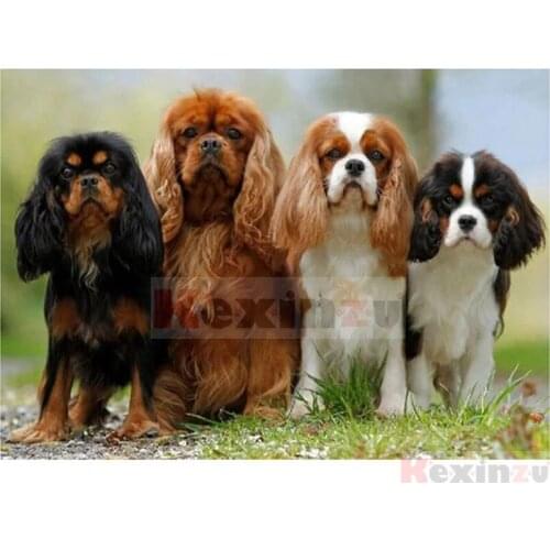 Kexinzu Full 5D DIY Square/Round Drill Diamond Painting "Animal Dog" 3d Diamond Embroidery Cross Stitch Decor Gift Ke13