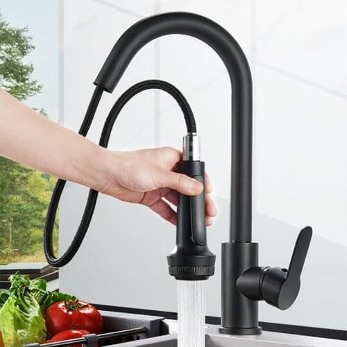 Single Handle Kitchen Water Faucet Nozzle Stainless Steel Pull Out Drawing Spout Kitchen Sink Mixer Tap with Spring Sprayer