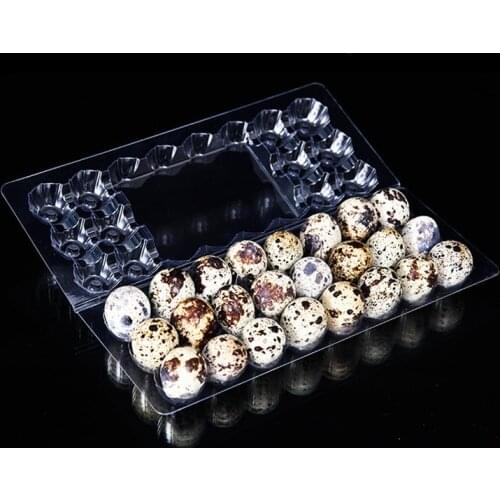 24 Holes Quail Egg Containers Plastic Egg Boxes 1000pcs/lot