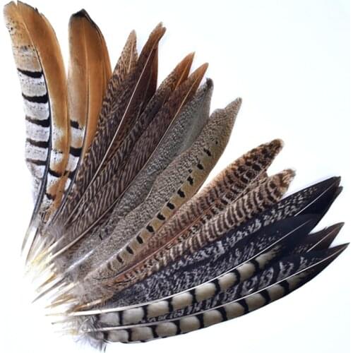 10Pcs/Lot Natural Pheasant Feathers for Needlework 15-20cm Crafts Feather Decor Handicraft Accessories Plumes Plume Decoration