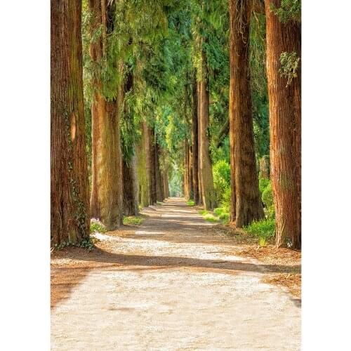 Pathway Trees Shadow Photography Backdrop Custom Vinyl Background Photo Studio for Pets Baby Children Portrait Photobooth Props