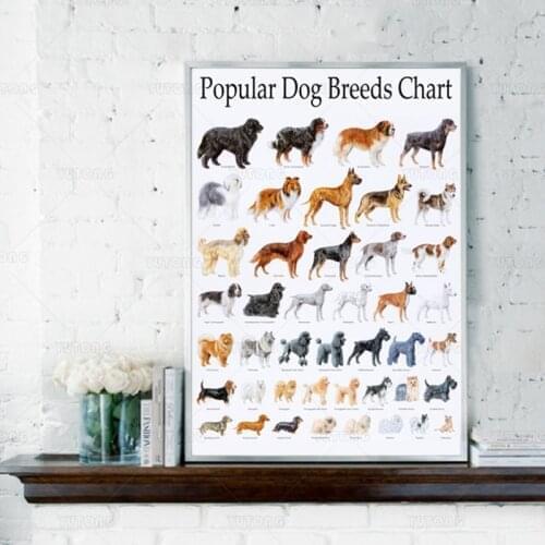 Canvas Wall Art Popular Dog Breeds Chart Home Decor Animal Printed Poster Nordic Painting Modern Modular Frame For Living Room