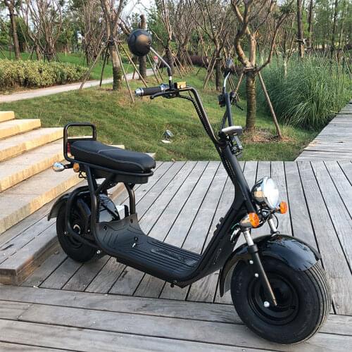 Electric Bicycle 2000w 60v 20Ah Double Lithium Battery Citycoco Adult With Seat Travel 50KM