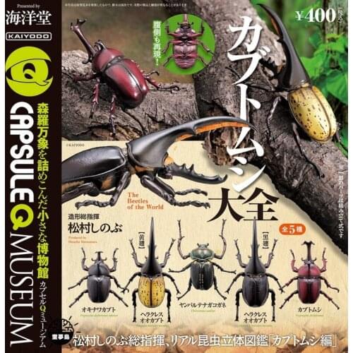 Capsule Q Museum Insect Three-dimensional Illustrated Book Gacha Toys Beetles Uang Scarab Dynastes Hercule Simulation Model Toys