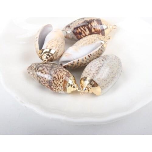 Gold plating Aquarium Beach Nautical DIY Shells Colorful Natural Seashells Decorations Scallop Shells Crafts Decor Ornament 5Pcs