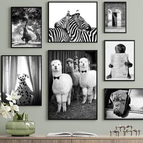 Zebra Alpaca Bulldog Baboon Animals Photo Wall Art Canvas Painting Nordic Posters And Prints Wall Pictures For Living Room Decor