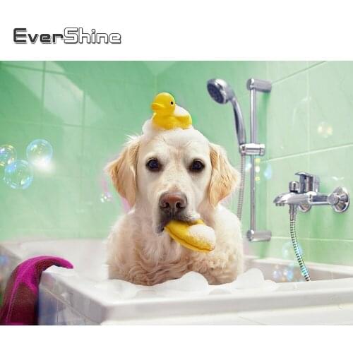 Evershine DIY Diamond Painting Dog Animal Diamond Mosaic Bathroom Cross Stitch Embroidery Full Square Round Drill Holiday Gifts