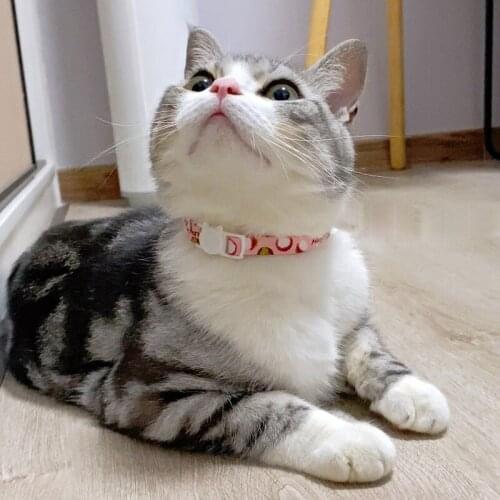Pet Collar Fruit Print Cat Collar Bell Pendant Cat Collar Puppy Collar Rabbit Hamster Collar