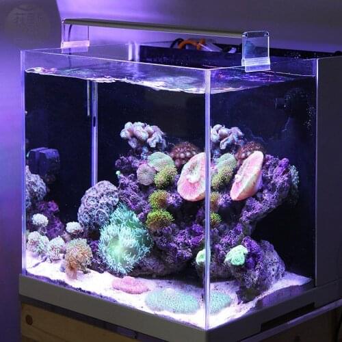 Chihiros Marine LED light coral SPS LPS aquarium Sea Reef Tank White Blue accessories