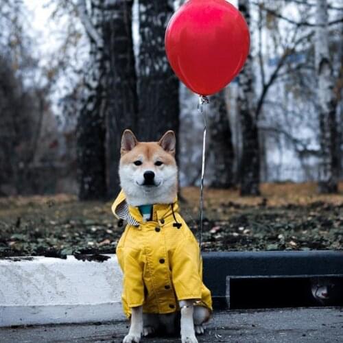 Windproof Dog Jacket With Hat for French Bulldog Pocket Dog Outfit Dog Clothing Puppy Clothes Dog Accessories for Large Dogs