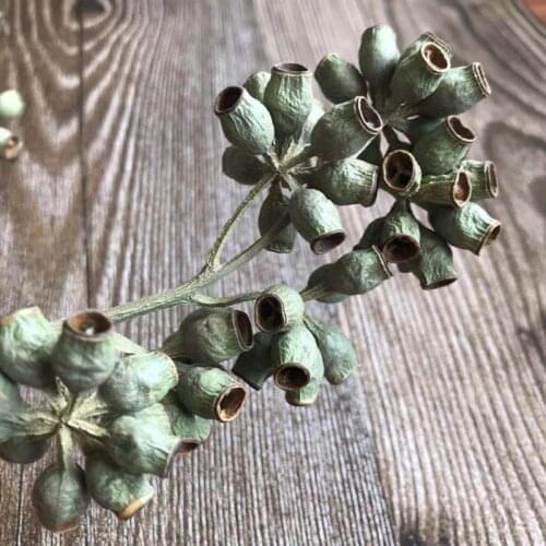 50g/25~45CM Decorative Natural Dried Flowers Zombie Fruits Dry Eucalyptus Fruits Bouquet for Immortal Flower DIY Material