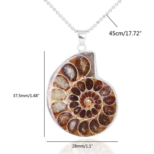 Natural Ammonite Fossils Pendant Jewelry Silver Tone Ammonite Fossils Stone Wrapped Pendant Necklace Fashion Jewelry
