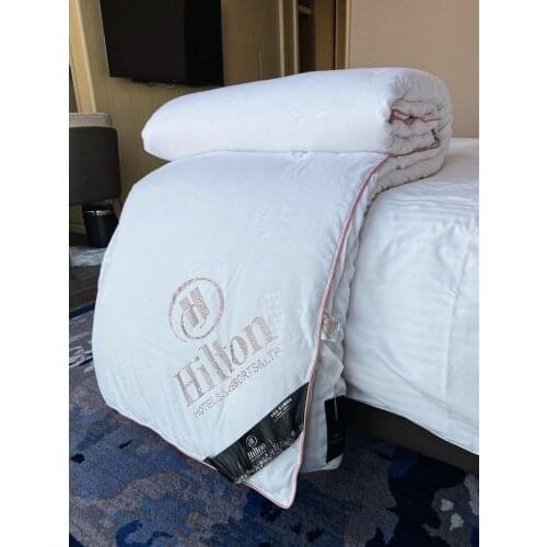 Hilton Mulberry Silk Quilt Winter Quilt Thickened Warm Quilt Spring and Autumn Quilt Hotel Quilt Core Quilt Winter Gift Quilt