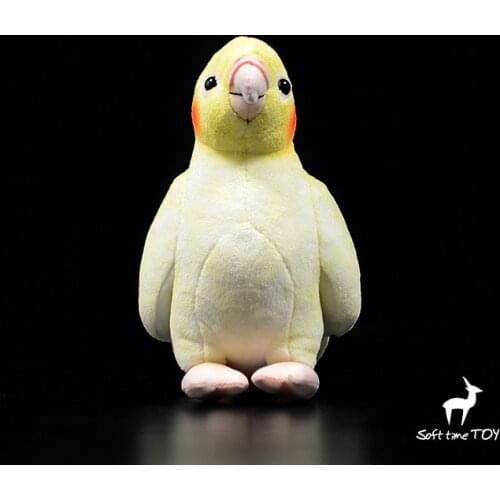 30cm (11.8") Teaching Globe model with L E D lamp Stainless steel support base English & Chinese printing relief surface