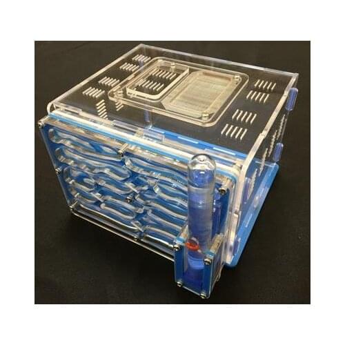 Ant grape series moisture with feeding area ant nest,ant farm acryl,insect ant nests villa pet mania
