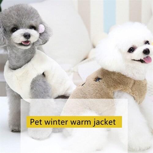 Pet Cat Halloween Hat Scarf Set Skull Pattern Cat Cape Hat Decoration Cosplay Funny Jester Hat High Pumpkin Hat With Clown Scarf