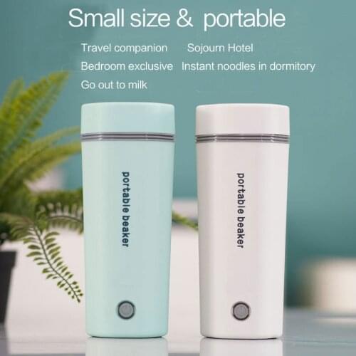 220V EU UK Plug And 110V US Plug Portable Electric Cup Travel Home 220V Electric Kettle