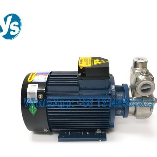 20QY Gas-liquid Ozone Water Pump, Chemical Liquid Treatment Pump,Nano Bubble Generator,Water Pump of Oxygen Supply