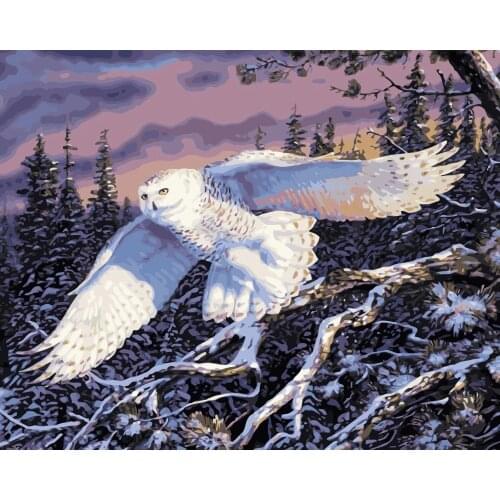 MaHuaf-i778 DIY oil painting by numbers animals snowy owl Acrylic picture wall art canvas painting for home decor unique gift