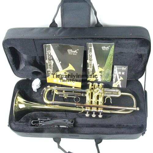 Professional heavy duty soprano Bb Trumpet gold lacquer w/case by Easter music
