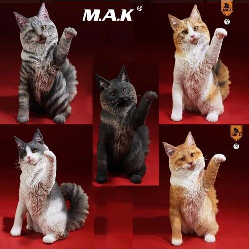 In stock 1/6 Scale 1/6 Mr.Z MRZ045 Maine Coon Resin Cat Animal Pet Collectible Statue Model ToysSitting Cats Toys