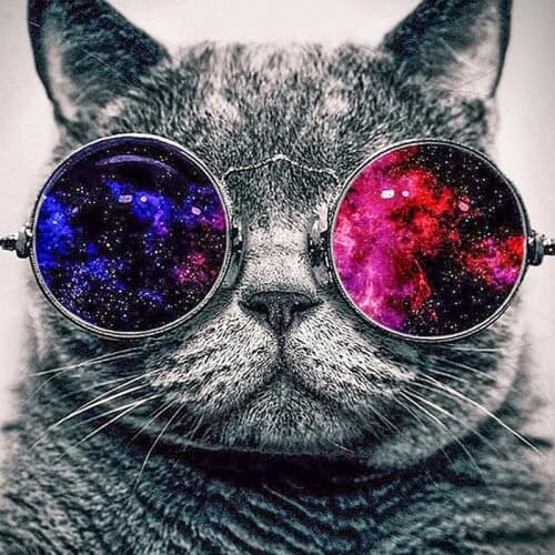 New 5d diy diamond painting mosaic embroidery rhinestones round diamond cross stitch home decor craft cool cat in sunglass KBL