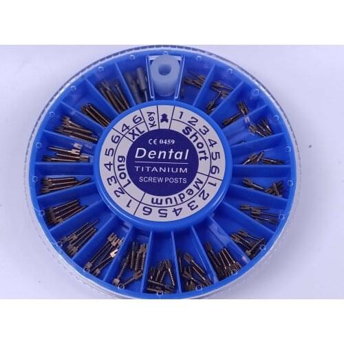 2Box(240Pis) Dental TITANIUM Root Canal Pins Screw Post Core Crown Repair For Dentist Tool Dentistry