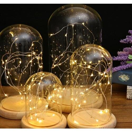 LED Lights Battery Operated Wood Base Clear Glass Cloche Dome Tabletop Decor Plant Flower Vase Container DIY Landscape Miniature