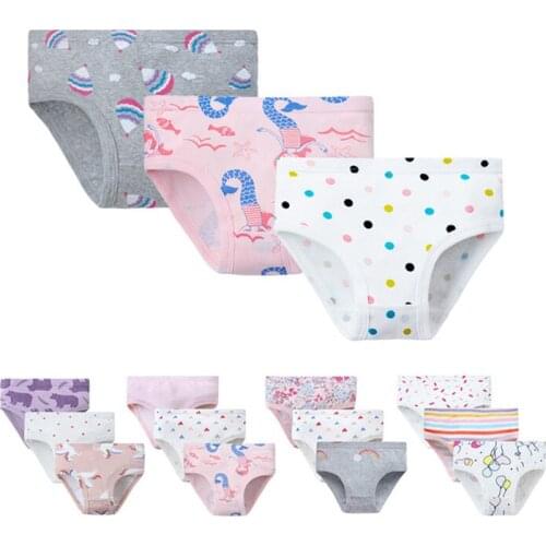 3pcs/lot Kids Children Underwear Briefs Kids Underpants Girls Panties Clothes for 2-10Y CHU052