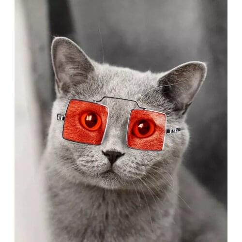 1pc Pet Eye-wear Dog Pet Sunglasses Photos Props Accessories Pet Supplies Cat Glasses Dog Pet Products Glasses for Cat