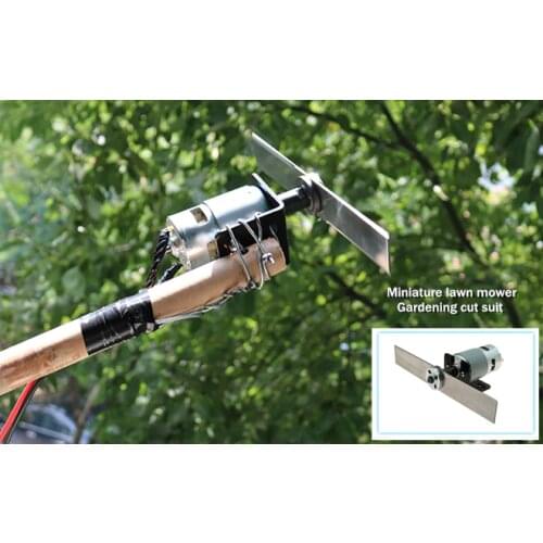 Miniature lawn mower DC Motor set 12V 24V Pruning power tools High speed ball motor Gardening cut suit 775/795/895 DC Motor